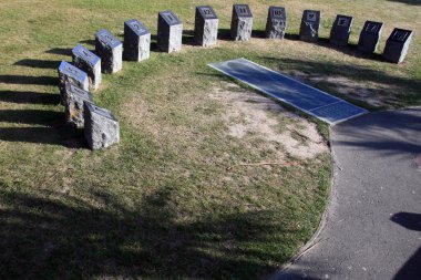 Güneş arama - botanik bahçeleri, wellington, Yeni Zelanda