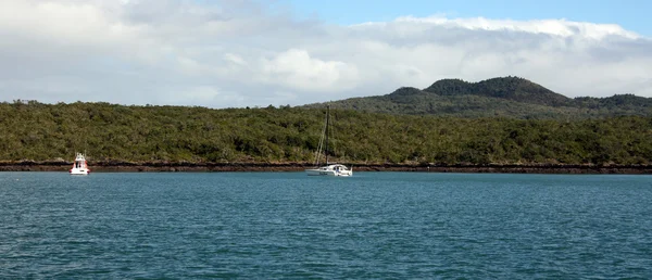 Isla Rangitoto, Nueva Zelanda — Foto de Stock