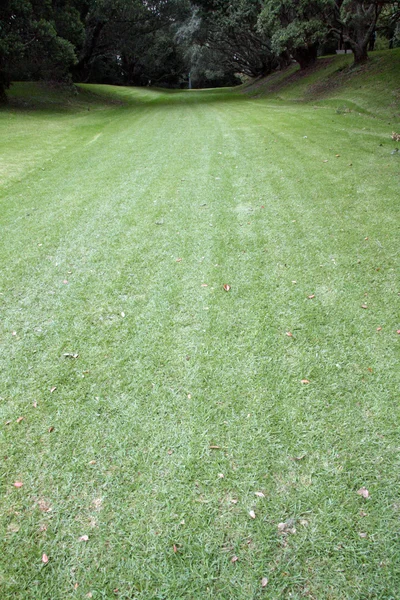 Etki alanı, auckland, Yeni Zelanda — Stok fotoğraf