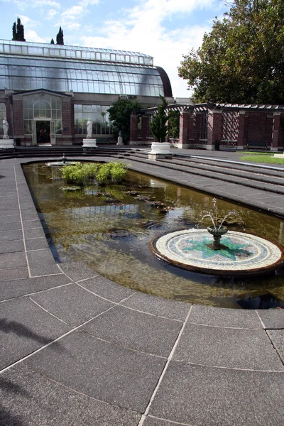 Jardín de invierno - El dominio, Auckland, Nueva Zelanda —  Fotos de Stock