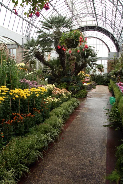 Winter Garden - O Domínio, Auckland, Nova Zelândia — Fotografia de Stock