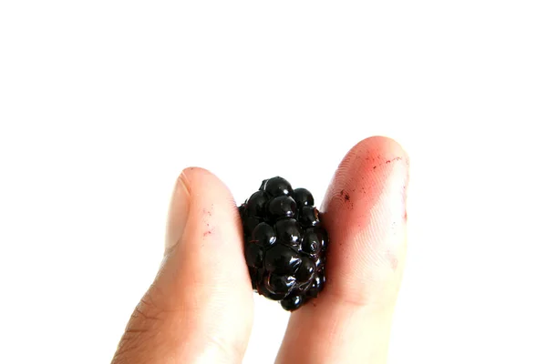 Hand Holding a Fresh Blackberry — Stock Photo, Image
