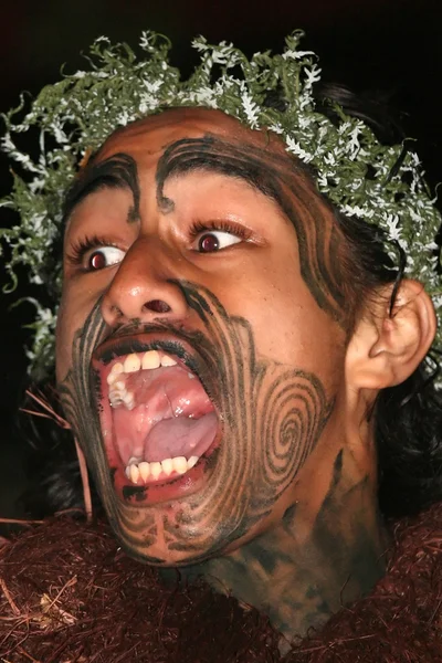 Maori Culture in New Zealand — Stock Photo, Image