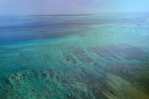 Coral reef - iriomote jima ön okinawa, japan — Stockfoto