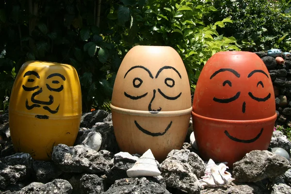 Faces - Iriomote Jima Island, Okinawa, Japan — Stock Photo, Image