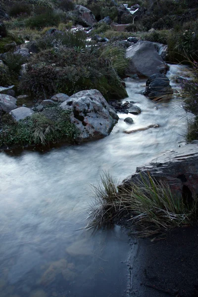 Rivière - Parc national des Tongariro, Nouvelle-Zélande — Photo