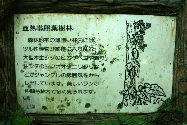 Mariyudo Waterfall Trek, Iriomote Island, Okinawa, Japan — Stock Photo, Image