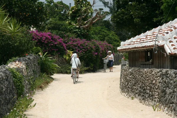 Taketomi Island , Okinawa, Japan — Stock Photo, Image