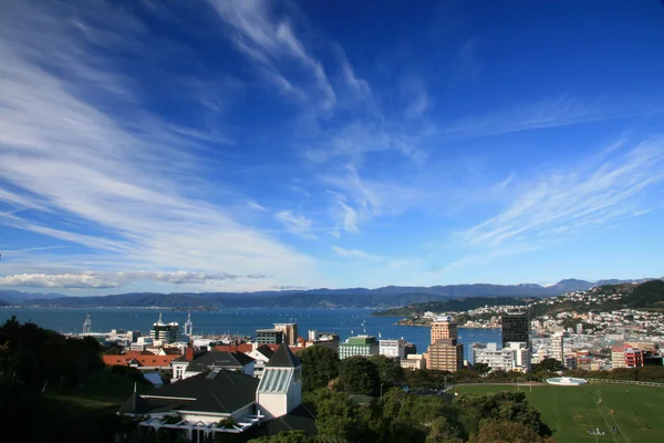 Столица Веллингтон, Новая Зеландия — стоковое фото