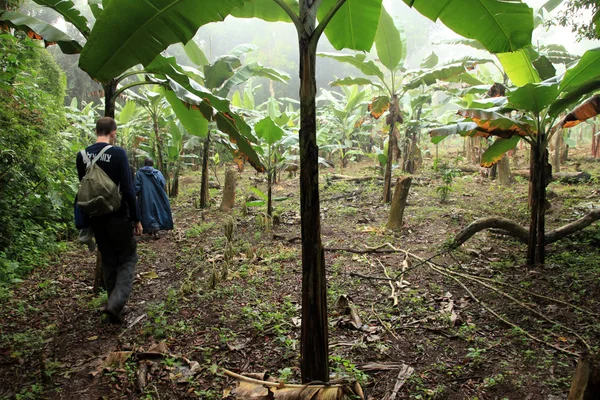 Uganda occidentale remota — Foto Stock