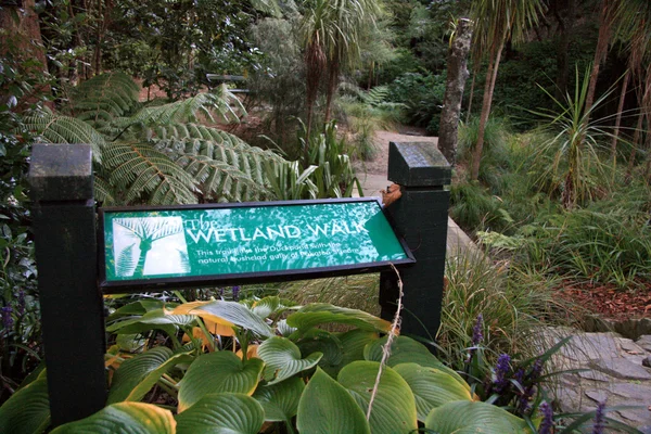 植物園、ウェリントン、ニュージーランド — ストック写真