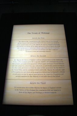 te papa, wellington, Yeni Zelanda