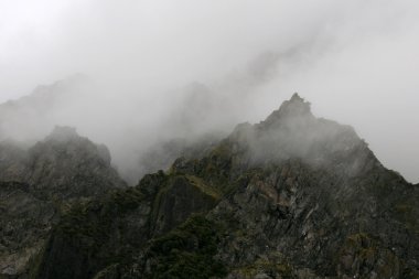 Franz Josef Buzulu, Yeni Zelanda