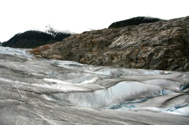 Mendenhall Buzulu, alaska, ABD