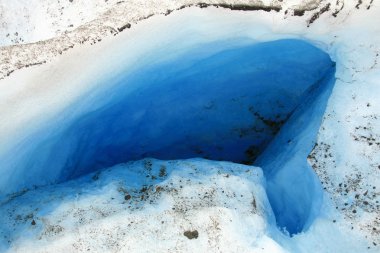 Mendenhall Buzulu, alaska, ABD
