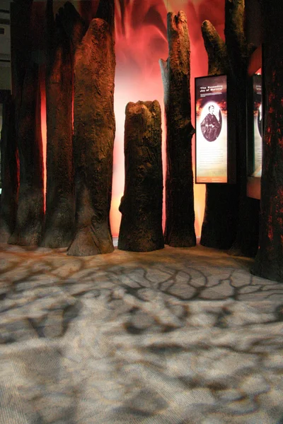 Te Papa, Wellington, Nova Zelândia — Fotografia de Stock