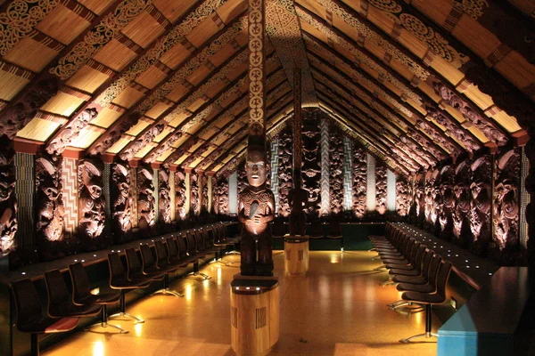 Te Papa, Wellington, Új-Zéland — Stock Fotó