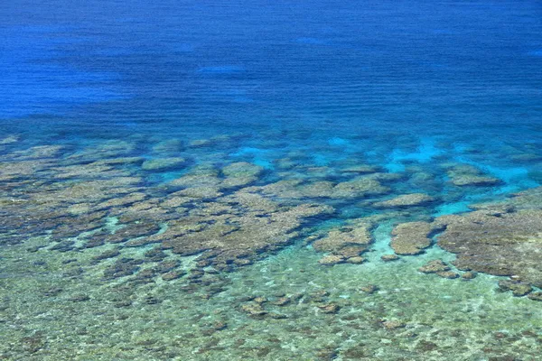 熱帯の海、サンゴ礁 - 与那国島、沖縄、日本 — ストック写真