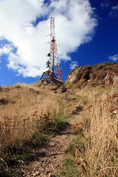 MT victoria, wellington, Nový Zéland — Stock fotografie