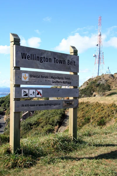 Mt Victoria, Wellington, New Zealand — Zdjęcie stockowe