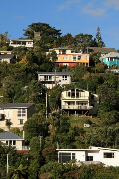 Wright Hill, Wellington, Nova Zelândia — Fotografia de Stock