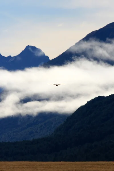 Milford Sound, Te Wahipounamu, New Zealand — Stock Photo, Image