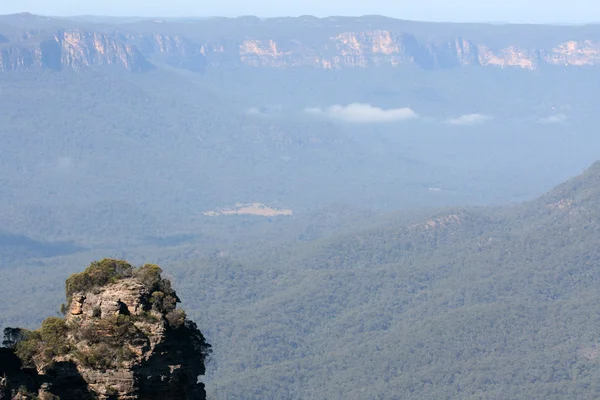 Parque Nacional de las Montañas Azules, UNESCO, Australia —  Fotos de Stock