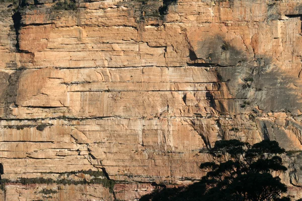 Blue Mountains Nemzeti Park, Unesco, Ausztrália — Stock Fotó