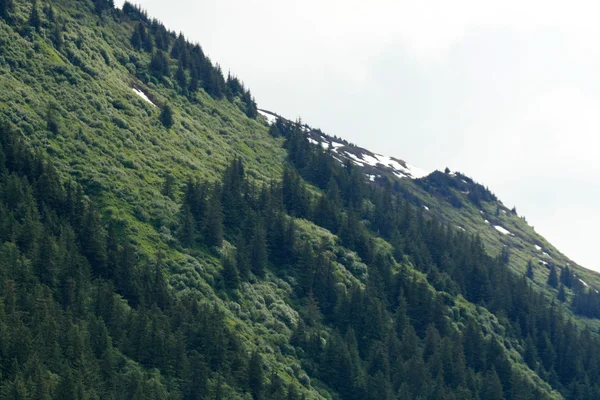 Juneau, Alaska, Usa — Stockfoto