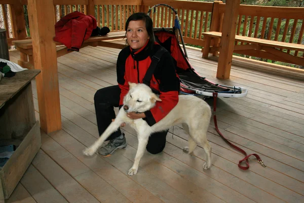 Husky Dog Sledding, Alaska, EE.UU. — Foto de Stock