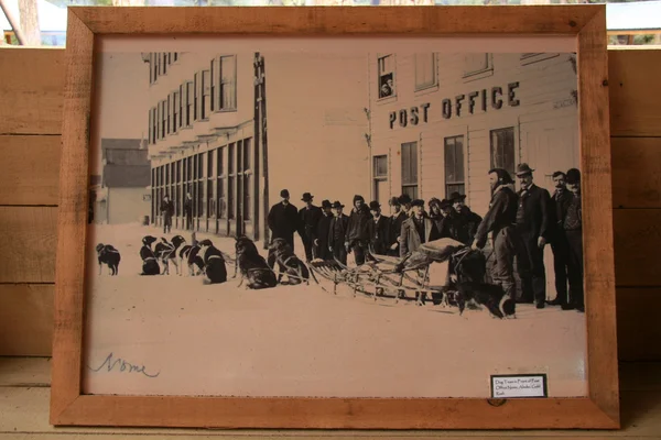 Old photo with dogs, cabbies — Stock Photo, Image