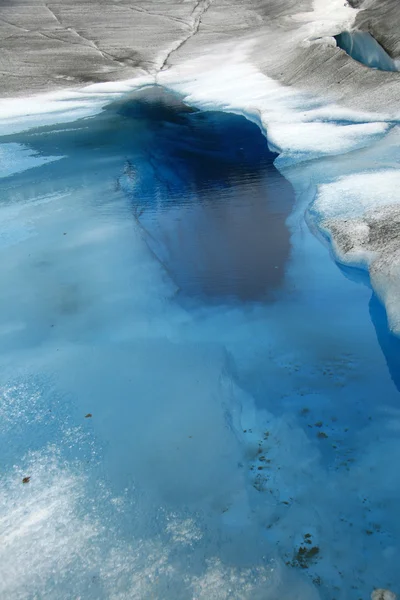 Mendenhall glacier, alaska, Stany Zjednoczone Ameryki — Zdjęcie stockowe