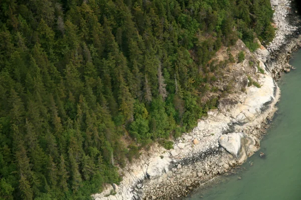 A partvidéki Mendenhall gleccser, Alaska, Amerikai Egyesült Államok — Stock Fotó