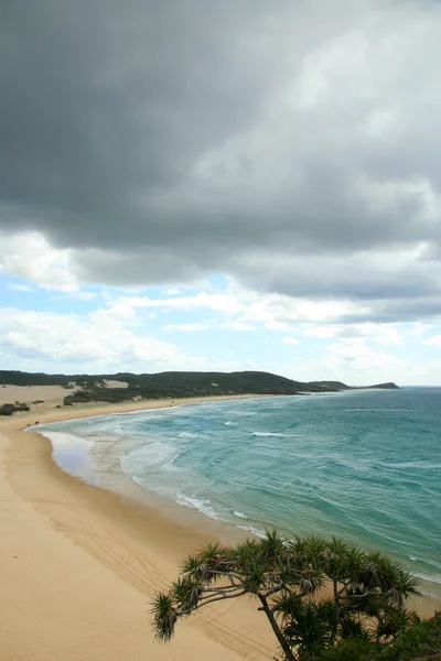 Praia tropical - Ilha Fraser, UNESCO, Austrália — Fotografia de Stock