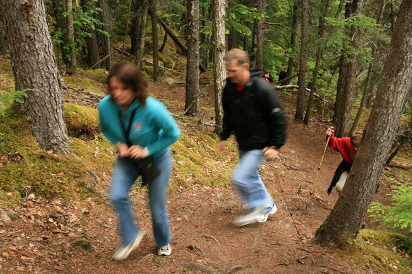 Hiking The Chilkoot Gold Mine Trail, Аляска, США — стоковое фото