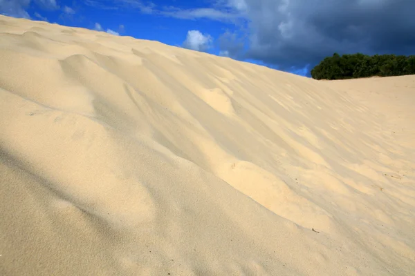 모래 언덕-프레이저 아일랜드, 유네스코, 호주 — 스톡 사진