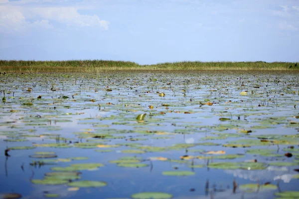 Klidné jezero nastavení - uganda, Afrika — Stock fotografie