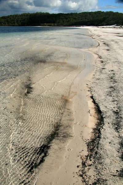 热带海滩-弗雷泽岛，教科文组织，澳大利亚 — 图库照片