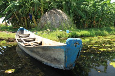 köy - uganda, Afrika balıkçılık yüzüyor