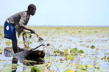 köy - uganda, Afrika balıkçılık yüzüyor