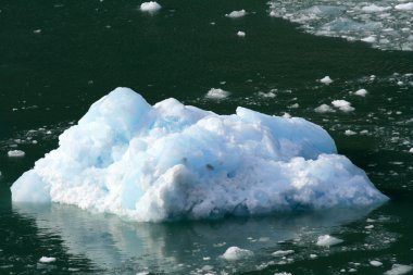Glacier bay, alaska, ABD