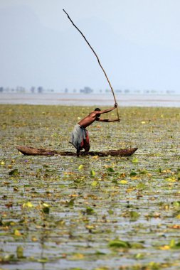 geleneksel balıkçılık tekniği - uganda, Afrika
