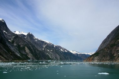 Glacier bay, alaska, ABD