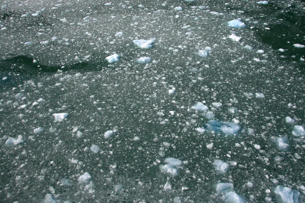 Glacier bay, alaska, Amerikai Egyesült Államok — Stock Fotó