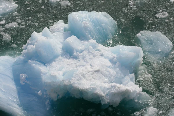 氷河湾、アラスカ、米国 — ストック写真