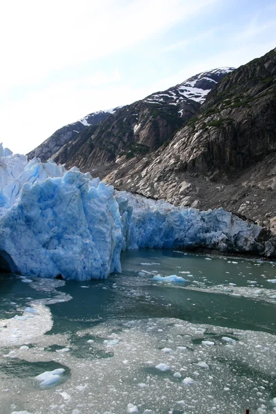 Gletscherbucht, Alaska, USA — Stockfoto