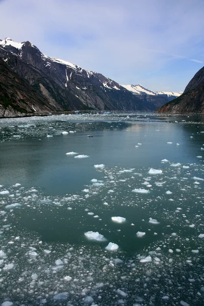 Gletscherbucht, Alaska, USA — Stockfoto