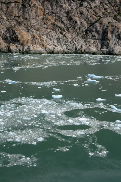 Glacier bay, alaska, Verenigde Staten — Stockfoto