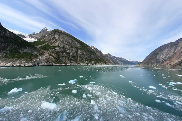 Gletscherbucht, Alaska, USA — Stockfoto