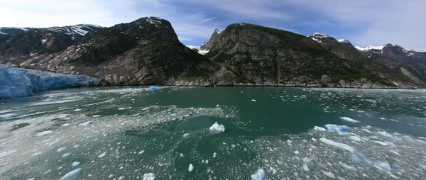 氷河湾、アラスカ、米国 — ストック写真